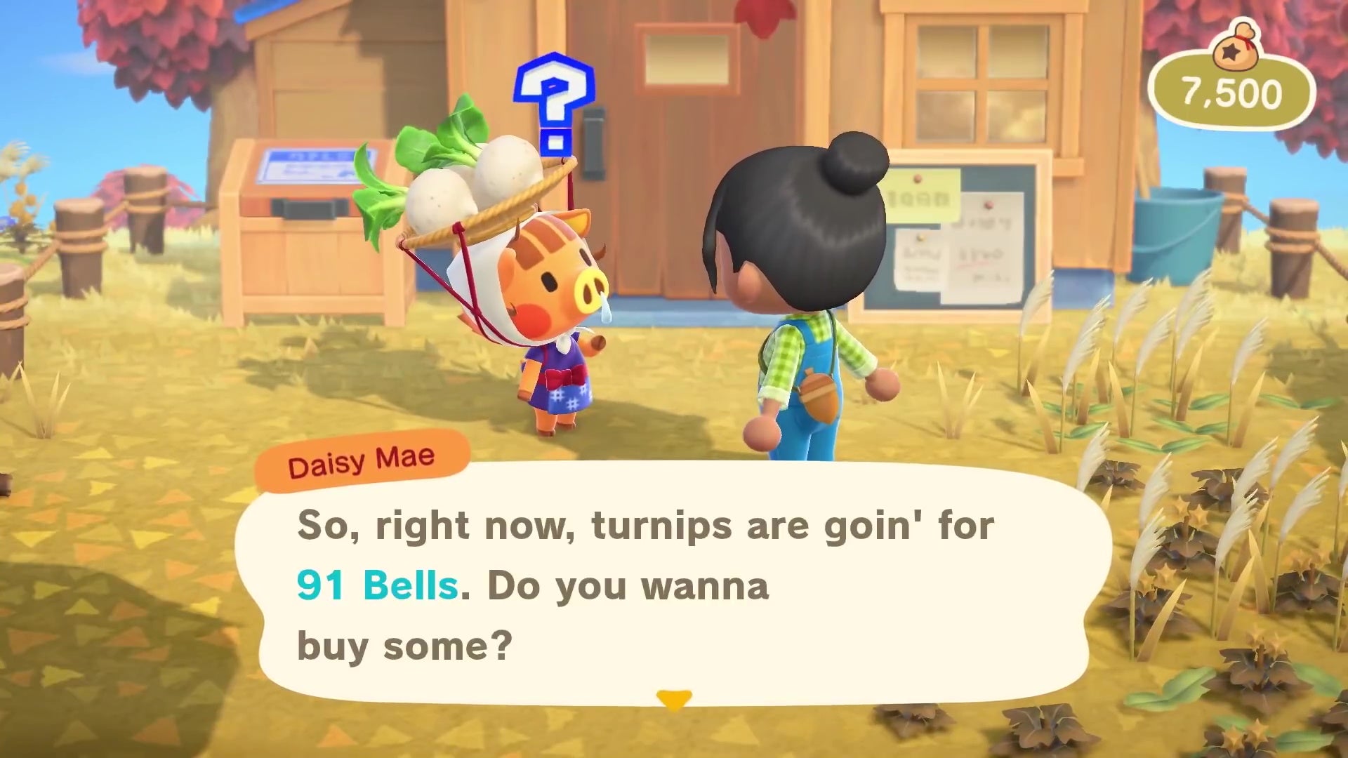 Animal Crossing Turnips How to get a good Turnip price in Daisy Mae's Stalk Market